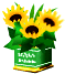 ����: ����: C:\Users\ogawa\Desktop\www.ogawakousan.jp\IMG\can1h.gif