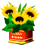 ����: ����: C:\Users\ogawa\Desktop\www.ogawakousan.jp\IMG\can5h.gif